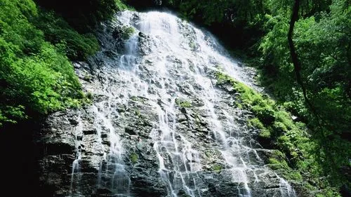 科技环保